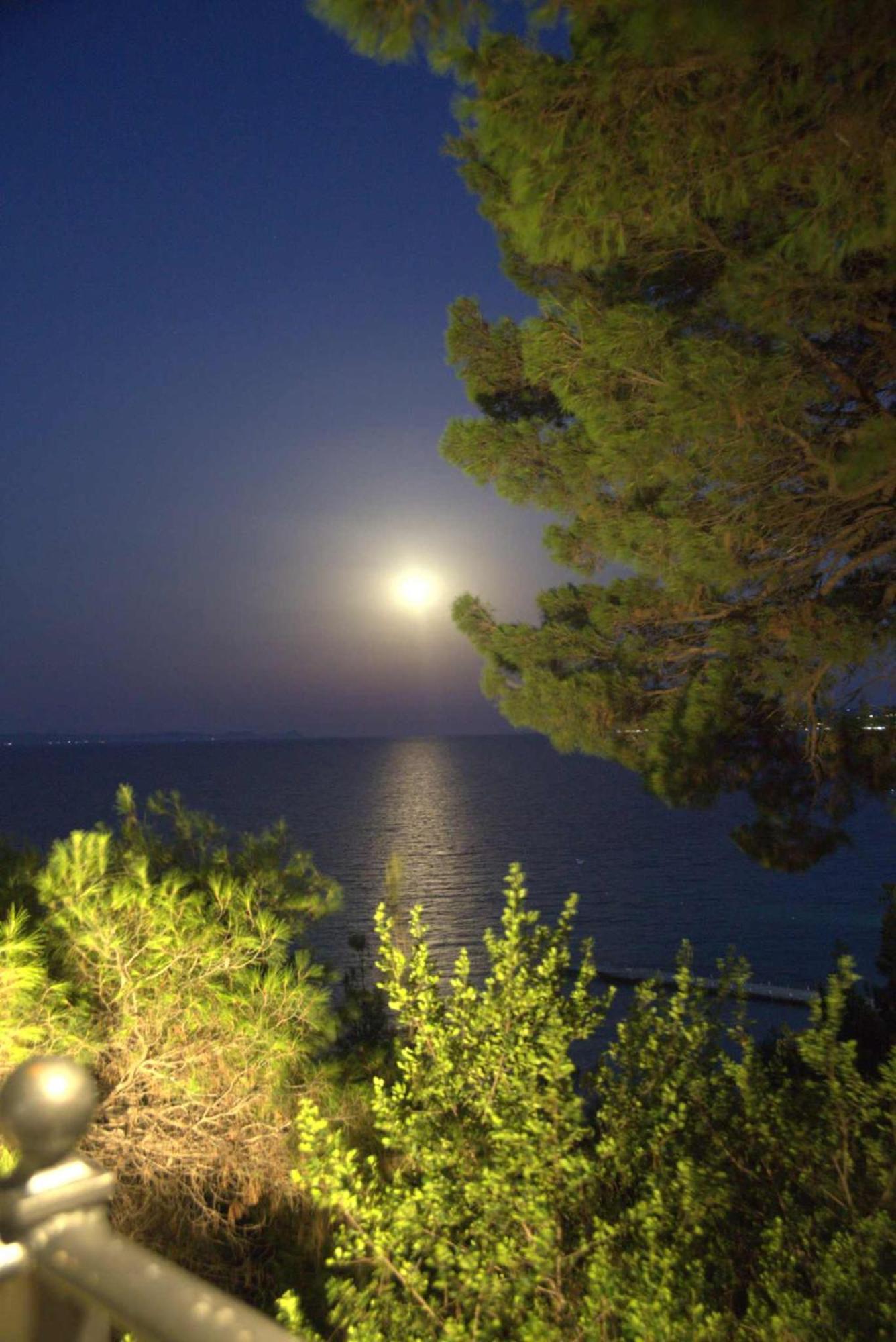 Evripidis Hotel Άφυτος Εξωτερικό φωτογραφία